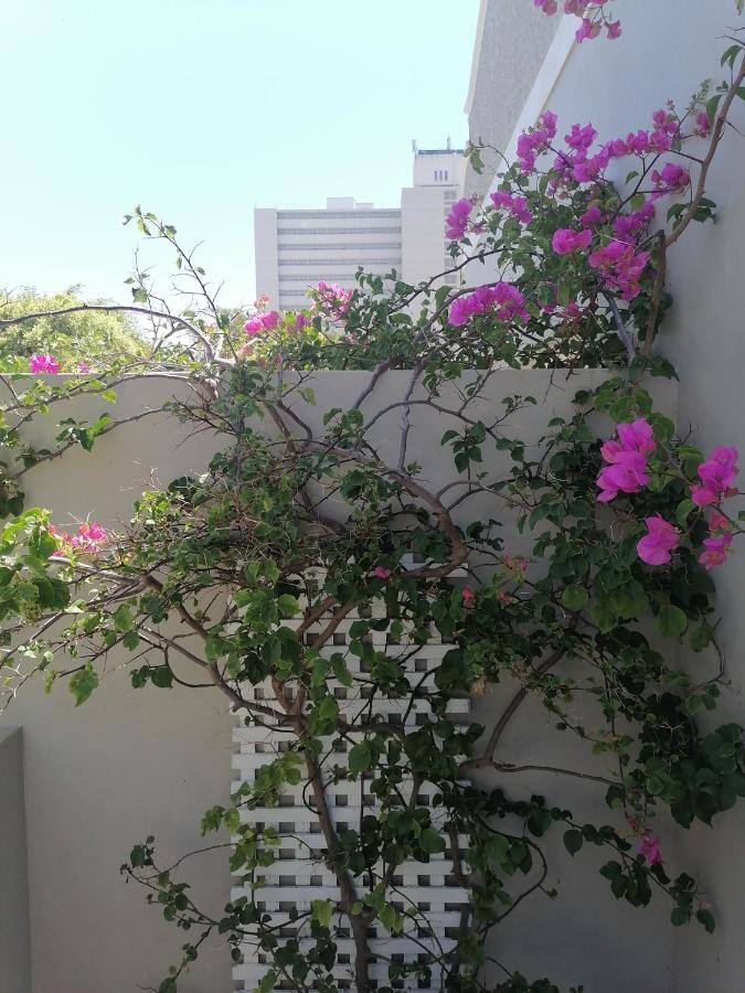 Conifer Beach House พอร์ตเอลิซาเบธ ภายนอก รูปภาพ
