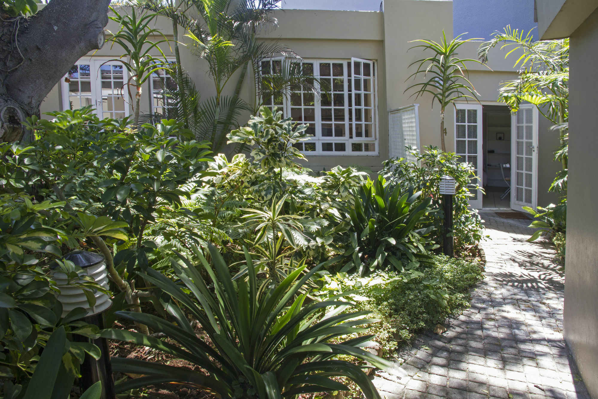 Conifer Beach House พอร์ตเอลิซาเบธ ภายนอก รูปภาพ